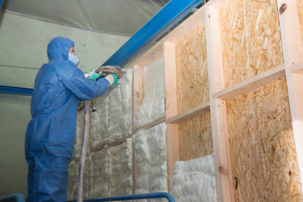 Best Fiberglass Insulation  in Mitchell, SD