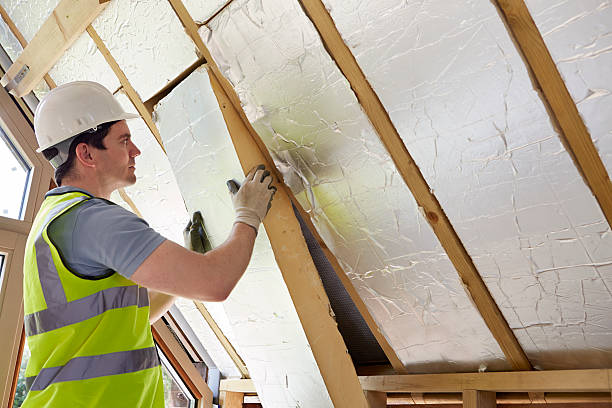 Insulation Inspection Services in Mitchell, SD